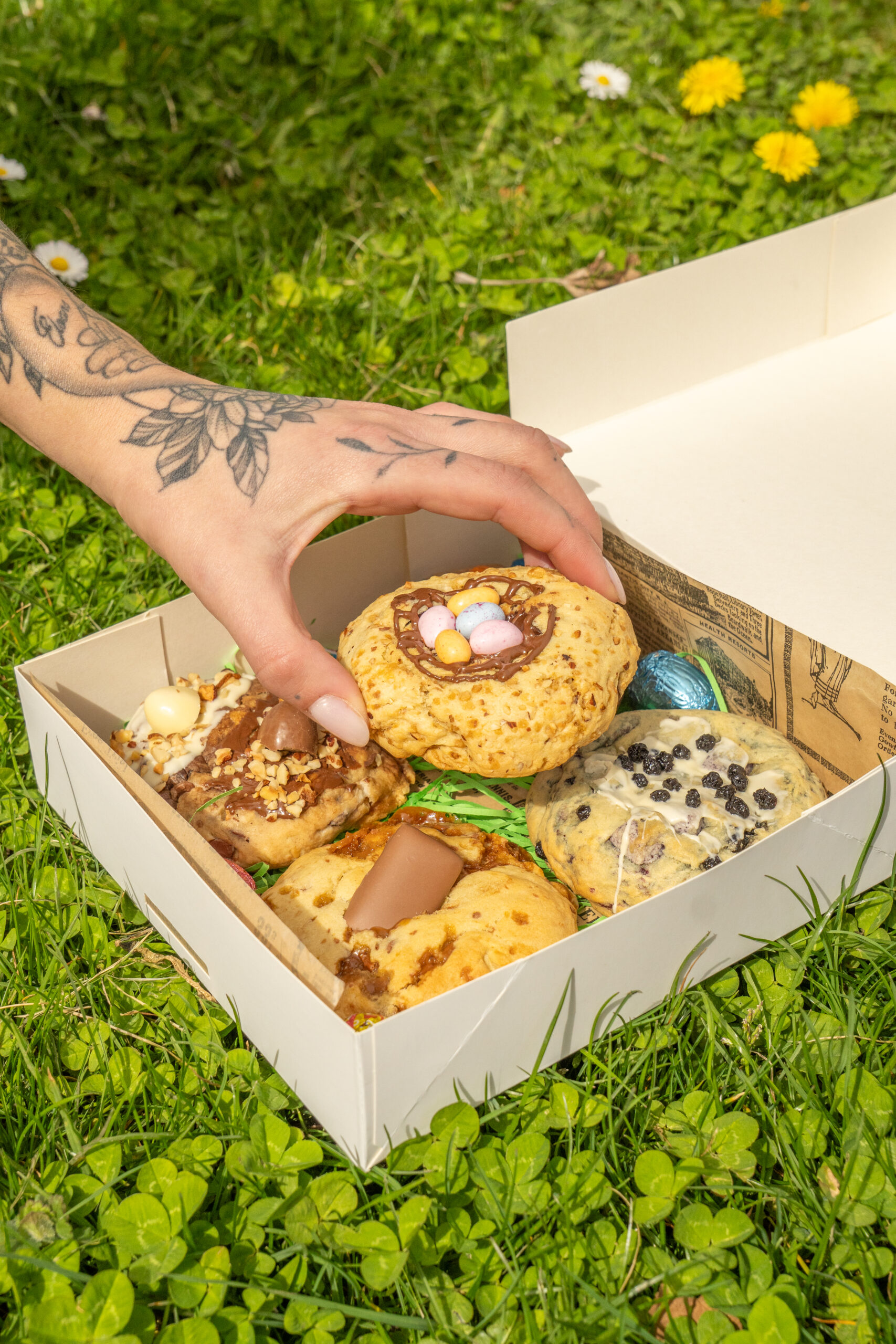 Atelier Beauréale - Agence de Design - Agence Graphique - Logo - Logotype - identité visuelle - Charte graphique - Création graphique - Site web - Site vitrine - Site e-commerce - web - Site sur mesure - meilleur graphiste - web-designer - Direction artistique - Création de logo - créer son logo